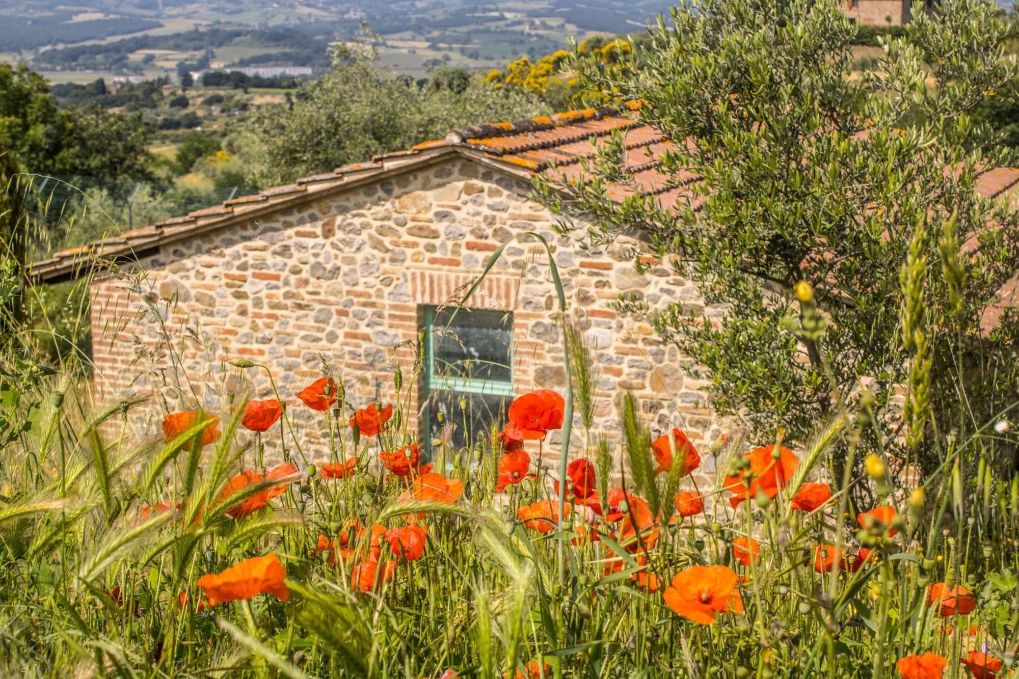 Agriturismo Dandelion Città della Pieve Exterior foto